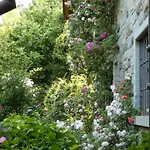 Rosedeliziose Baldissero Canavese Torre Canavese