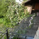 Rosedeliziose Baldissero Canavese 3*