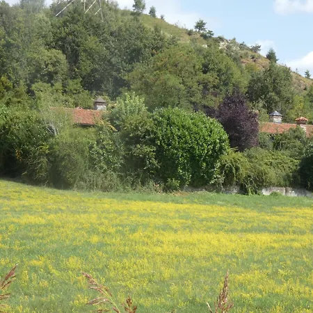 Rosedeliziose Baldissero Canavese