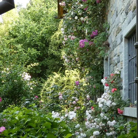 Rosedeliziose Baldissero Canavese Torre Canavese
