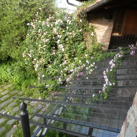 Rosedeliziose Baldissero Canavese 3*
