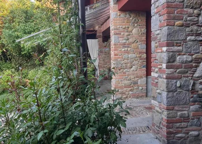 Rosedeliziose Baldissero Canavese Torre Canavese