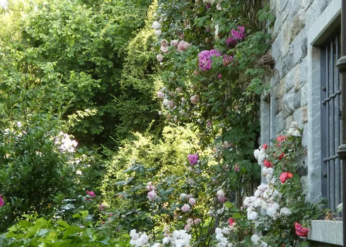 Rosedeliziose Baldissero Canavese Torre Canavese