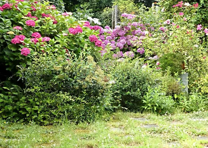 Rosedeliziose Baldissero Canavese 3*