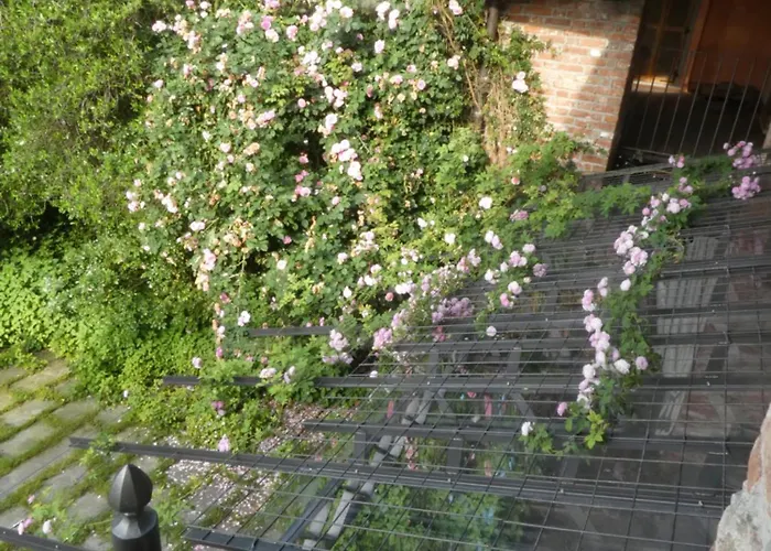 Rosedeliziose Baldissero Canavese 3*