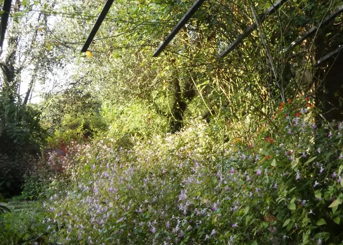 Bed & Breakfast Rosedeliziose Torre Canavese