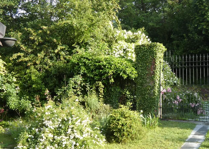 Rosedeliziose Baldissero Canavese