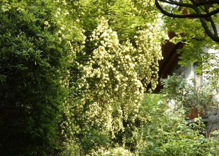 Rosedeliziose Baldissero Canavese Nocleg ze śniadaniem Torre Canavese